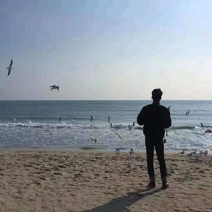 伴风望海