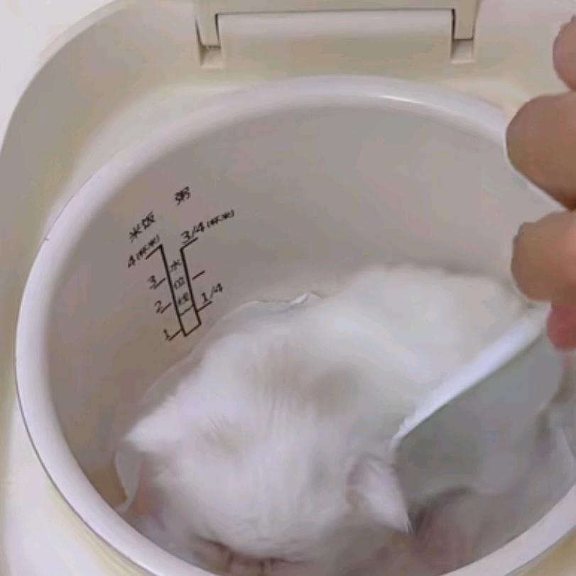 福音超市(清江东路店)成都纪玉多酒店管理有限公司门直播号