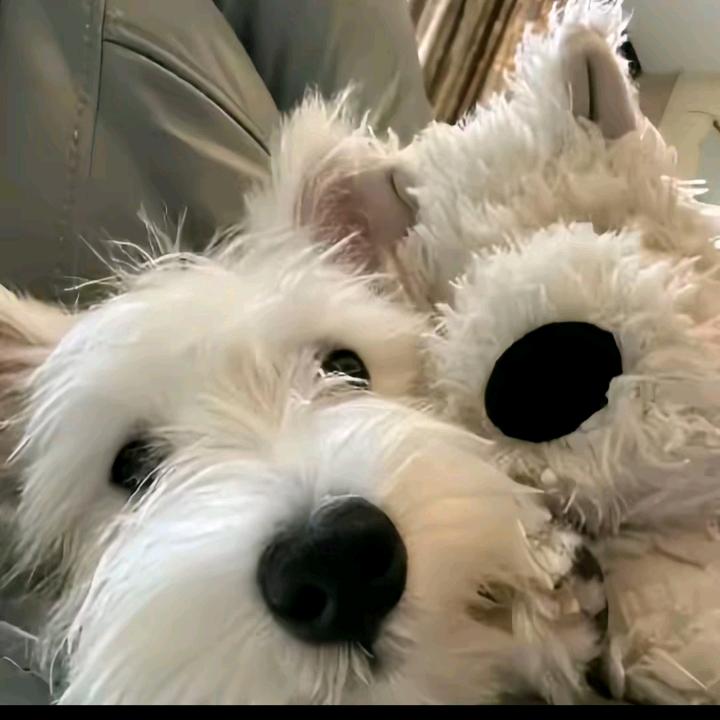 @天亿