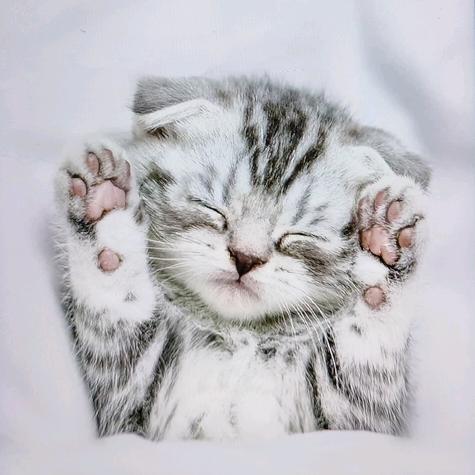 跳跳糖的窜天猴