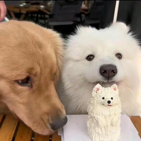 什么视频还得我亲自刷