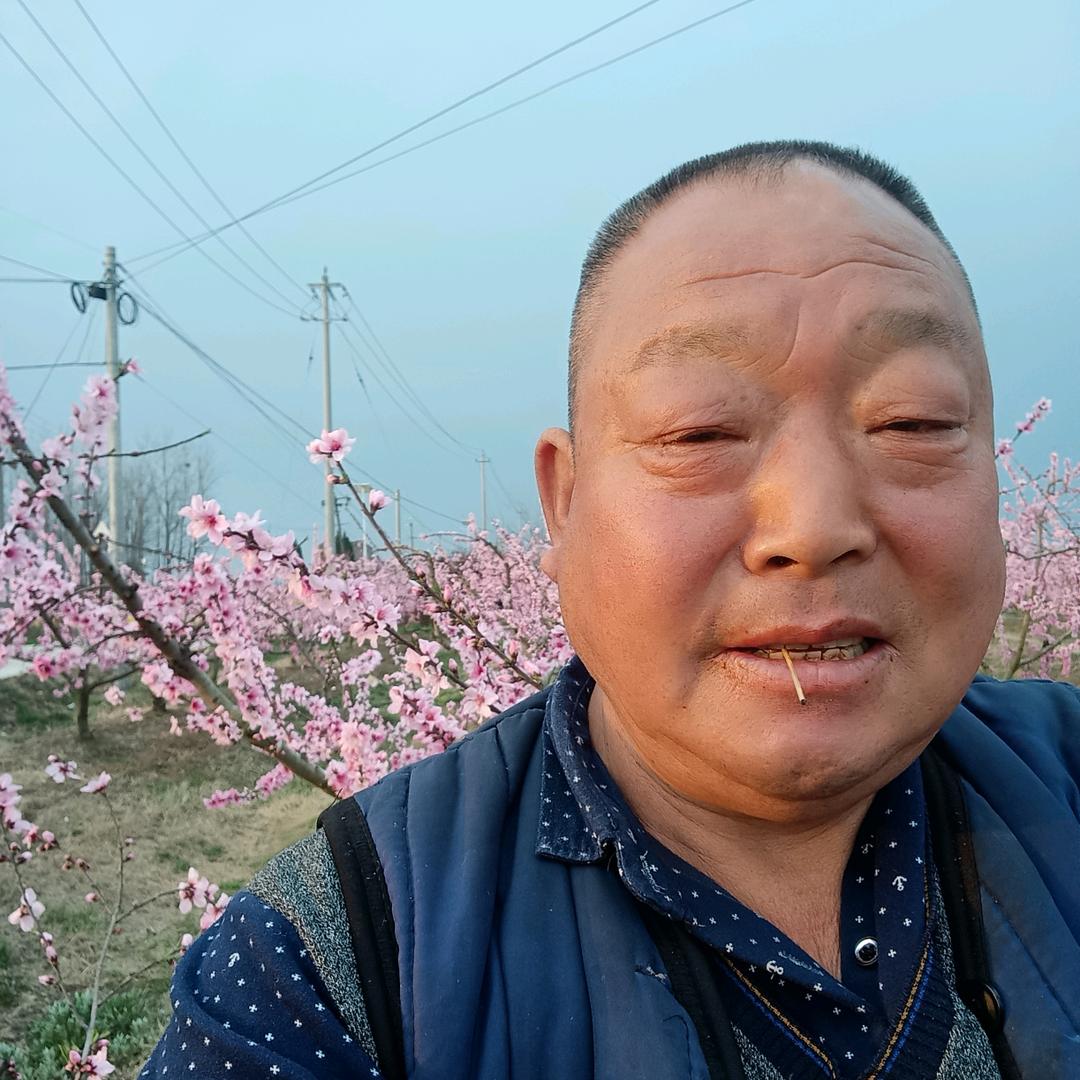 任金银