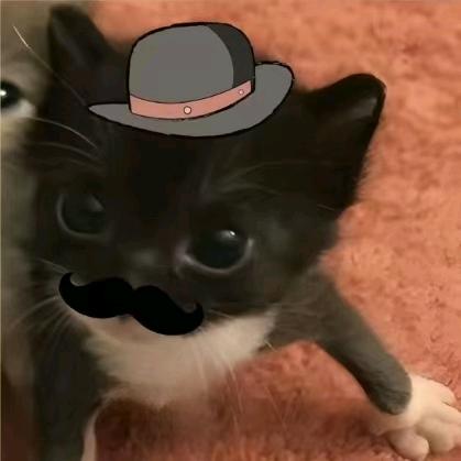 脱茧期Ψ庆子🐣