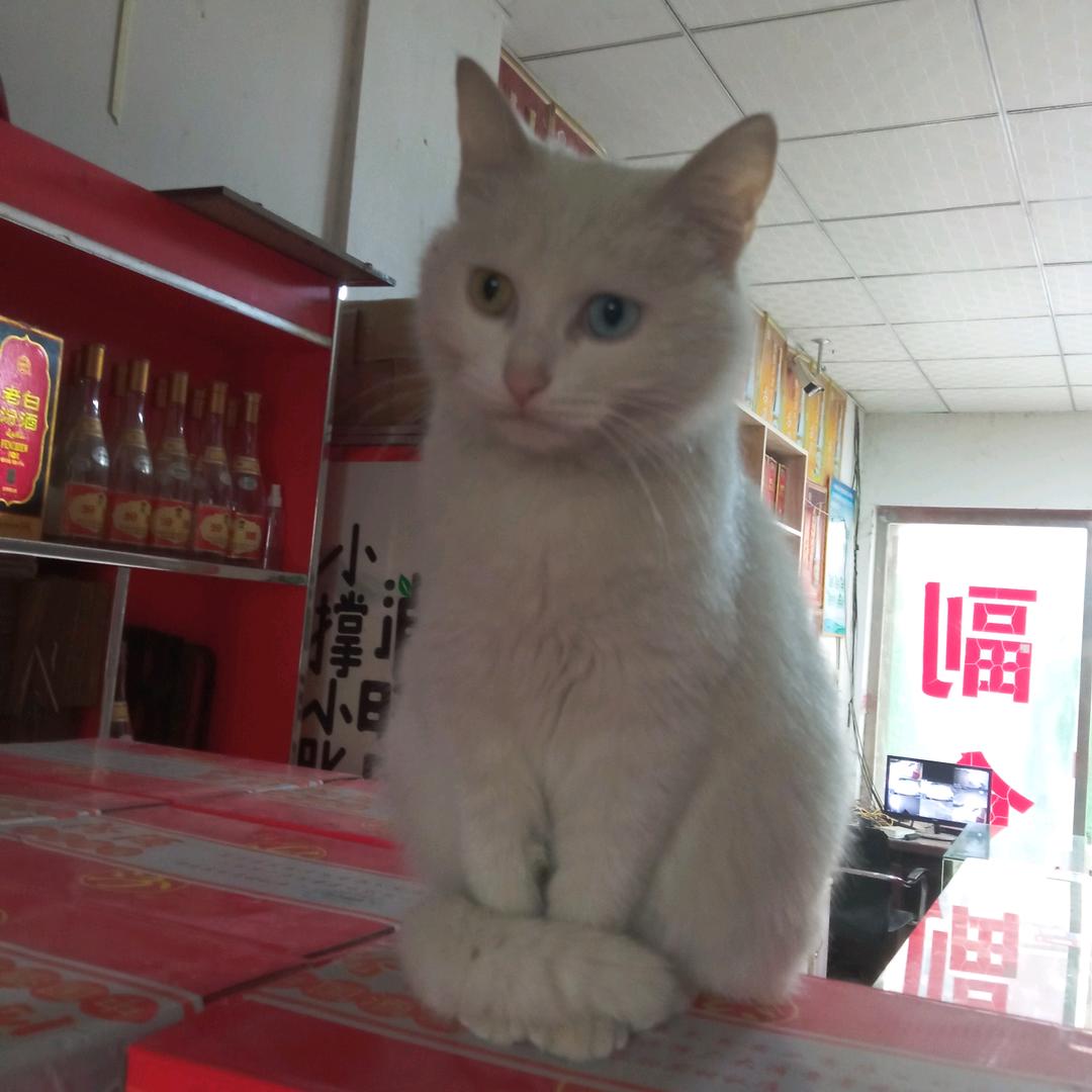 、、、