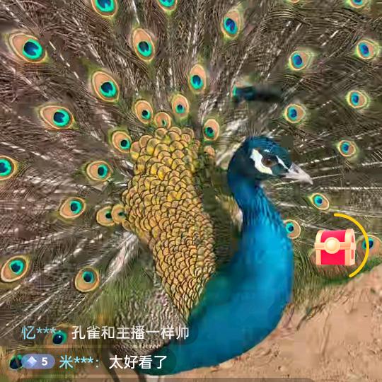 用户开心✌