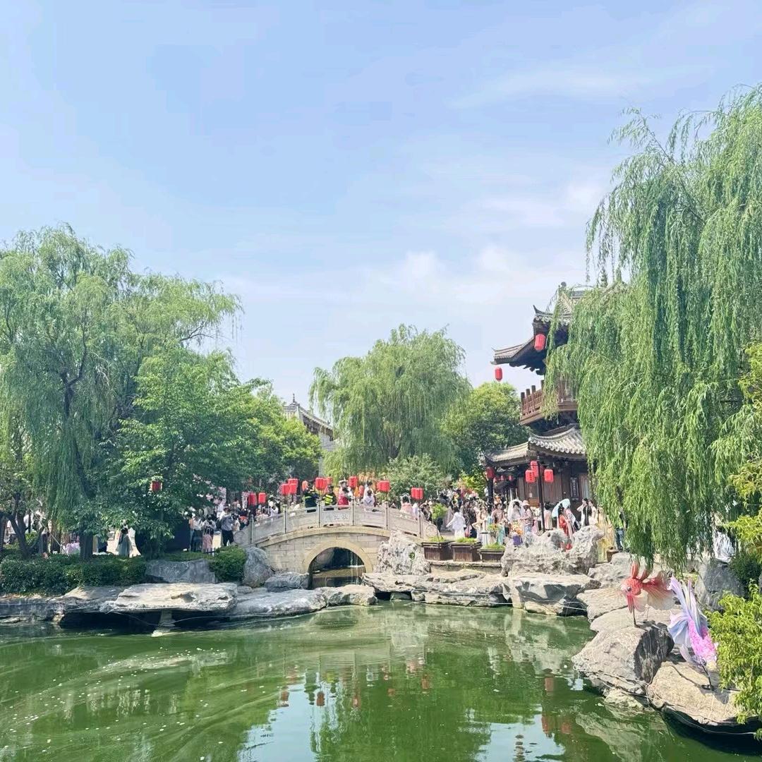 铿锵玫瑰