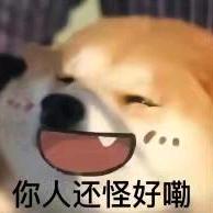 要乖乖吃饭呀𓃟头像