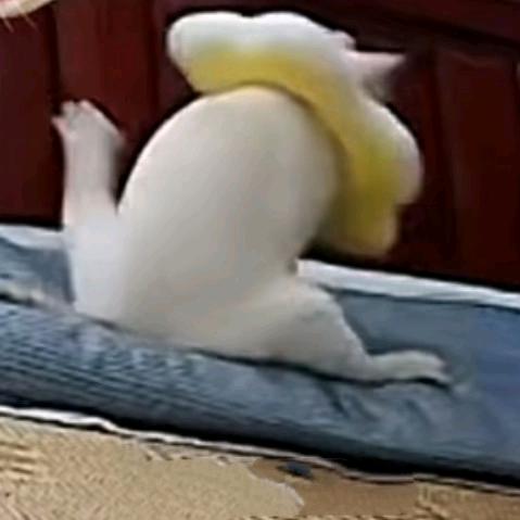 计划有变，准备毕业!