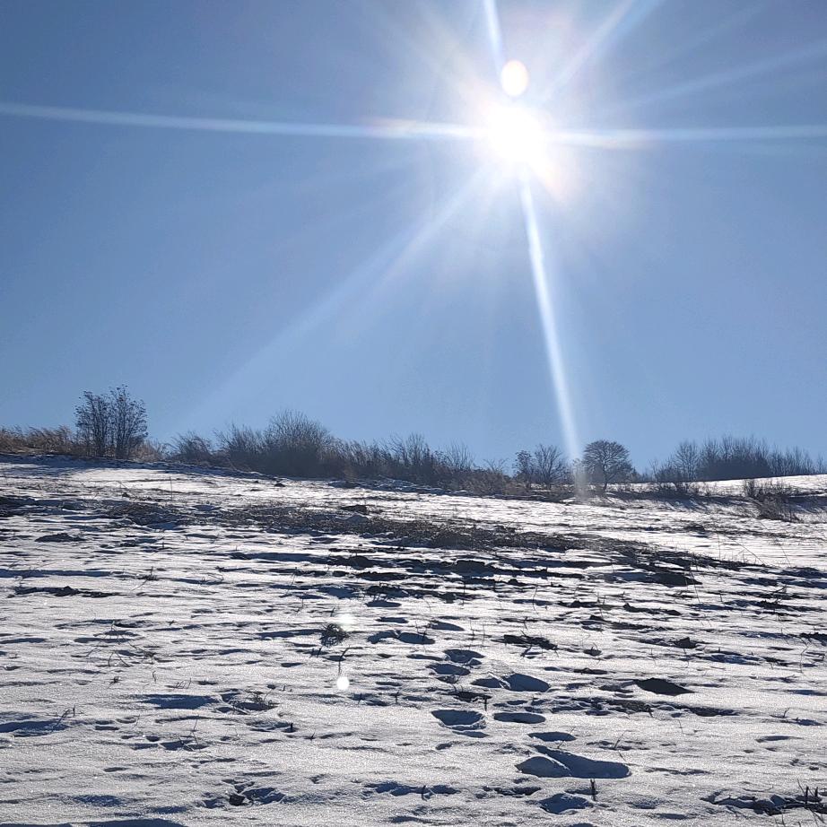 37°love