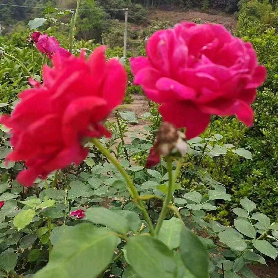 快乐每一天😊