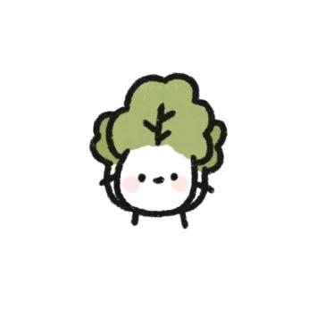 一颗小白菜.🥬