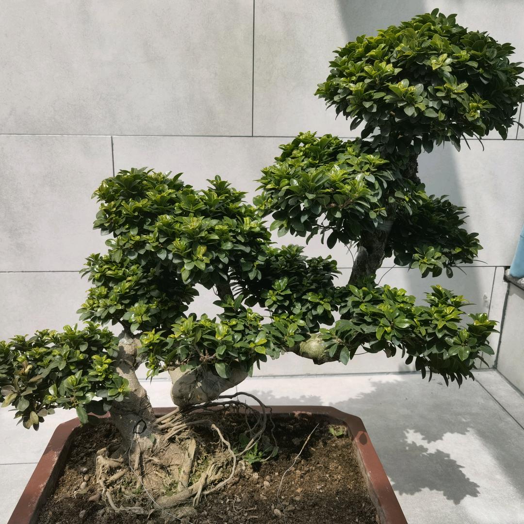 永泰皮草