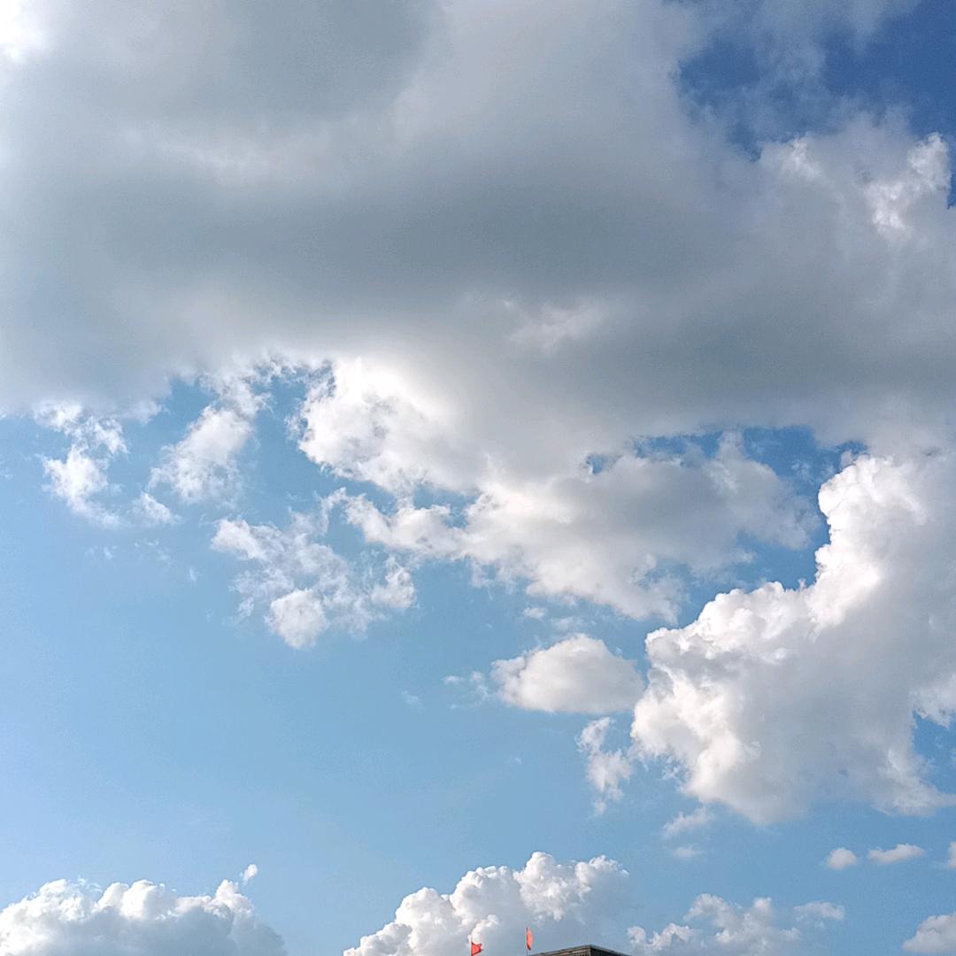 浮钓抽白条