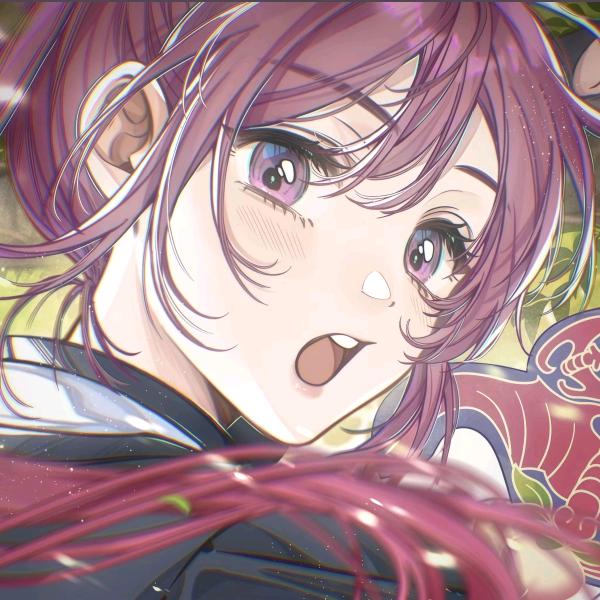 菜菜