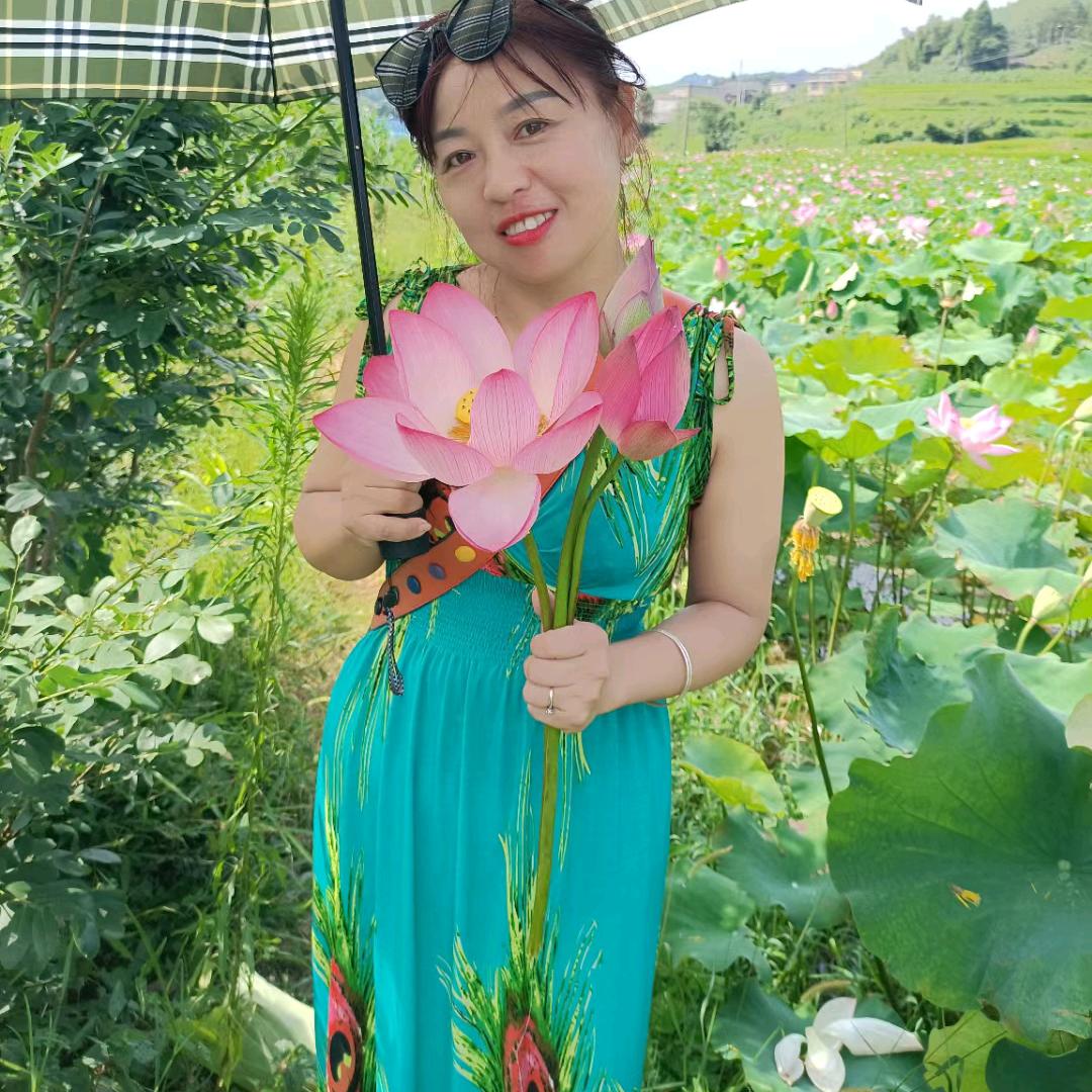萍姐姐