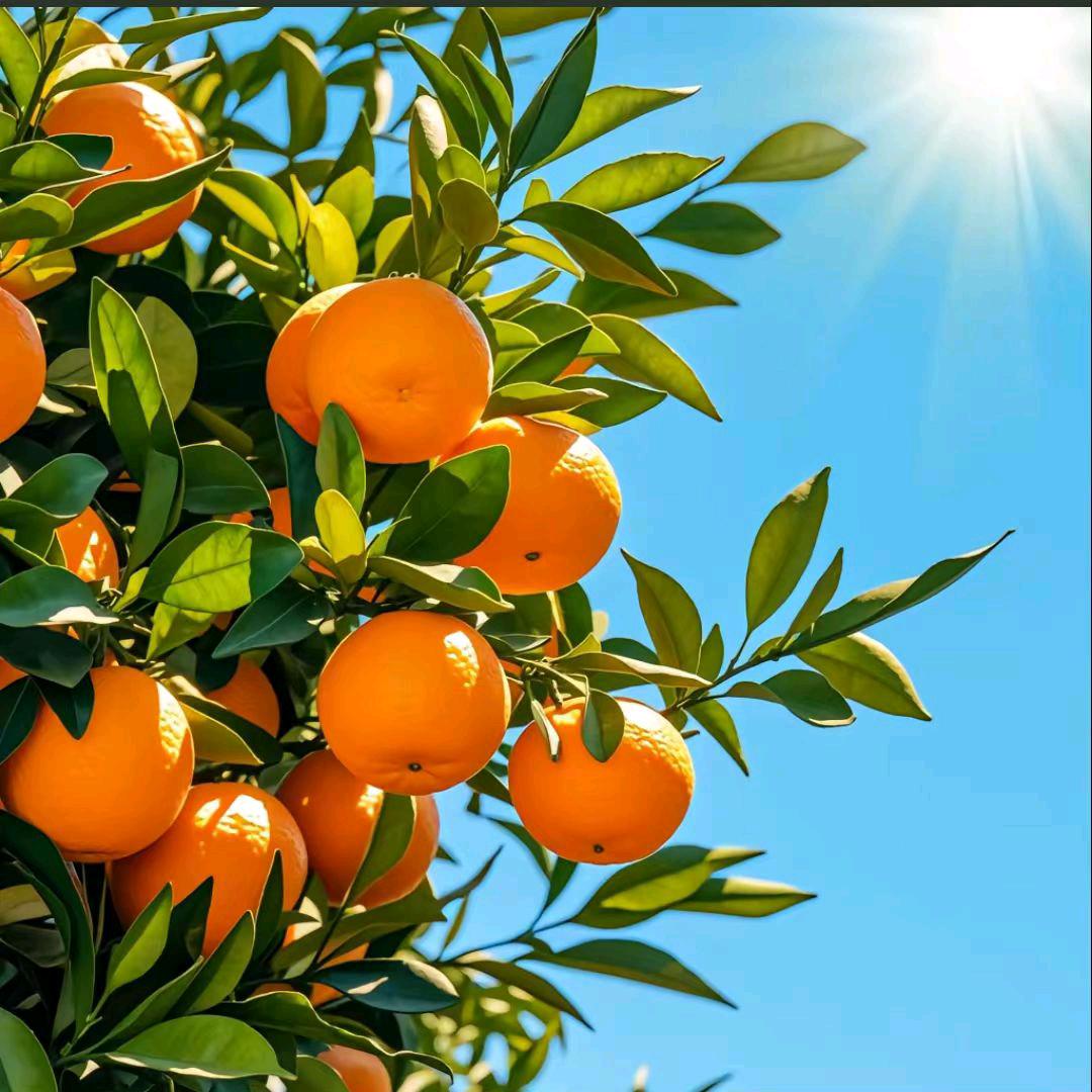 代帮打☎️ 定位链接