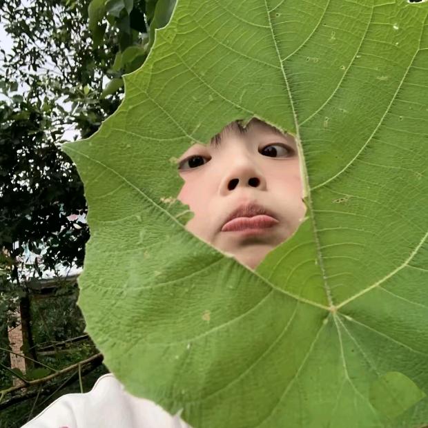大叶子里的搞怪小精灵