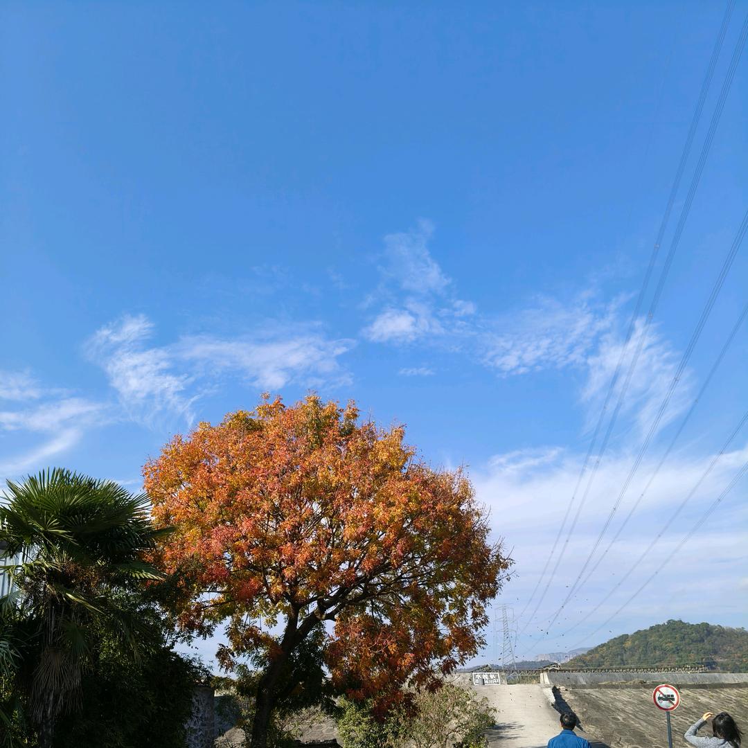 一一崽子妈咪吆
