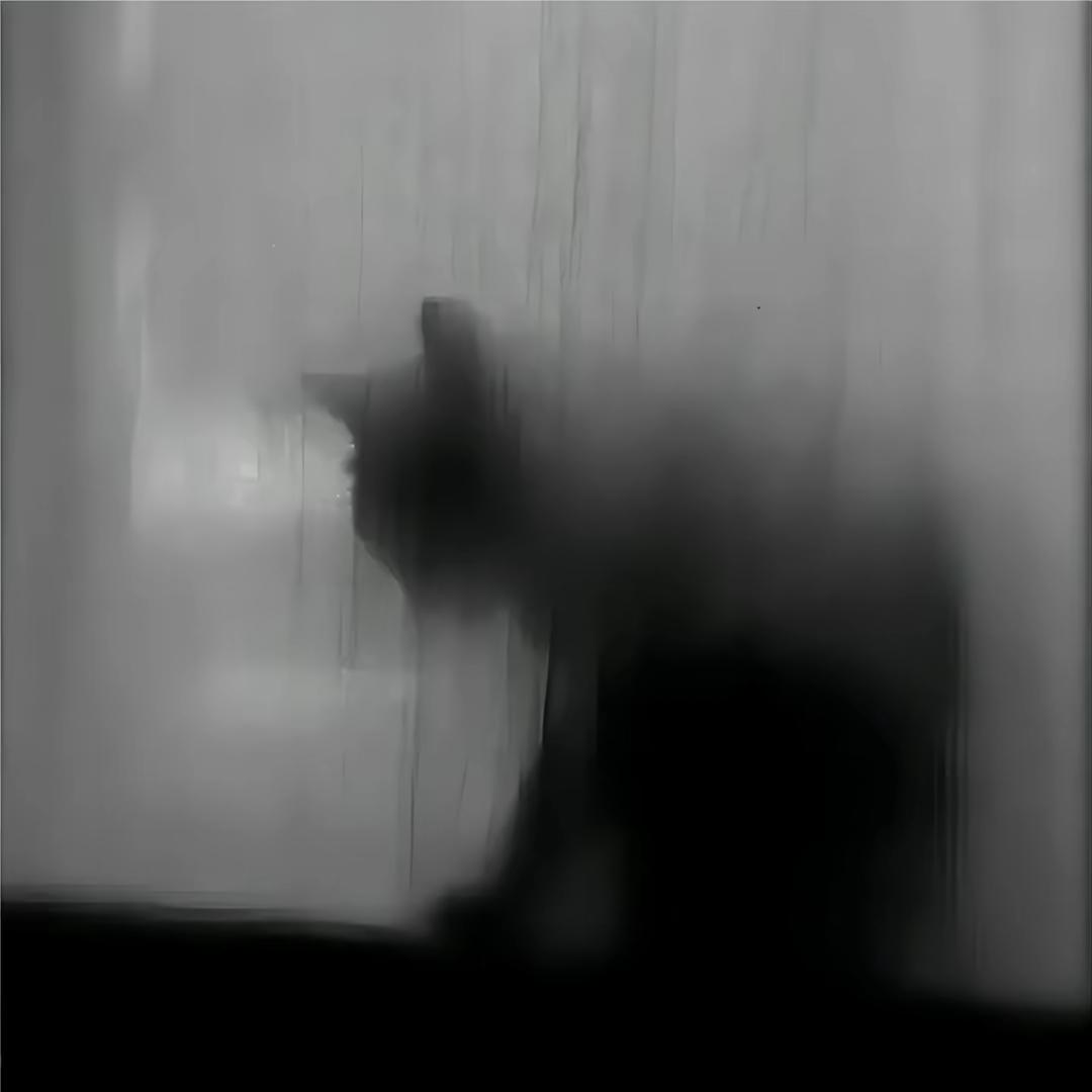 _օ