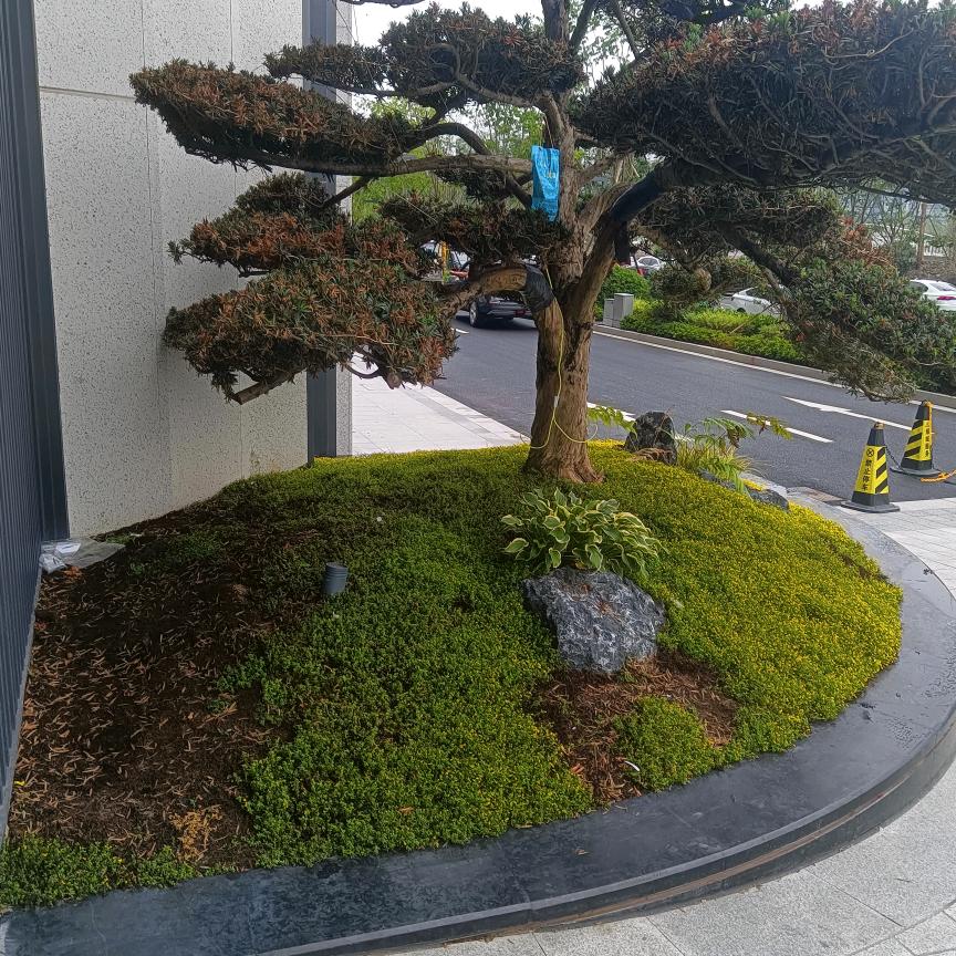 网络人间