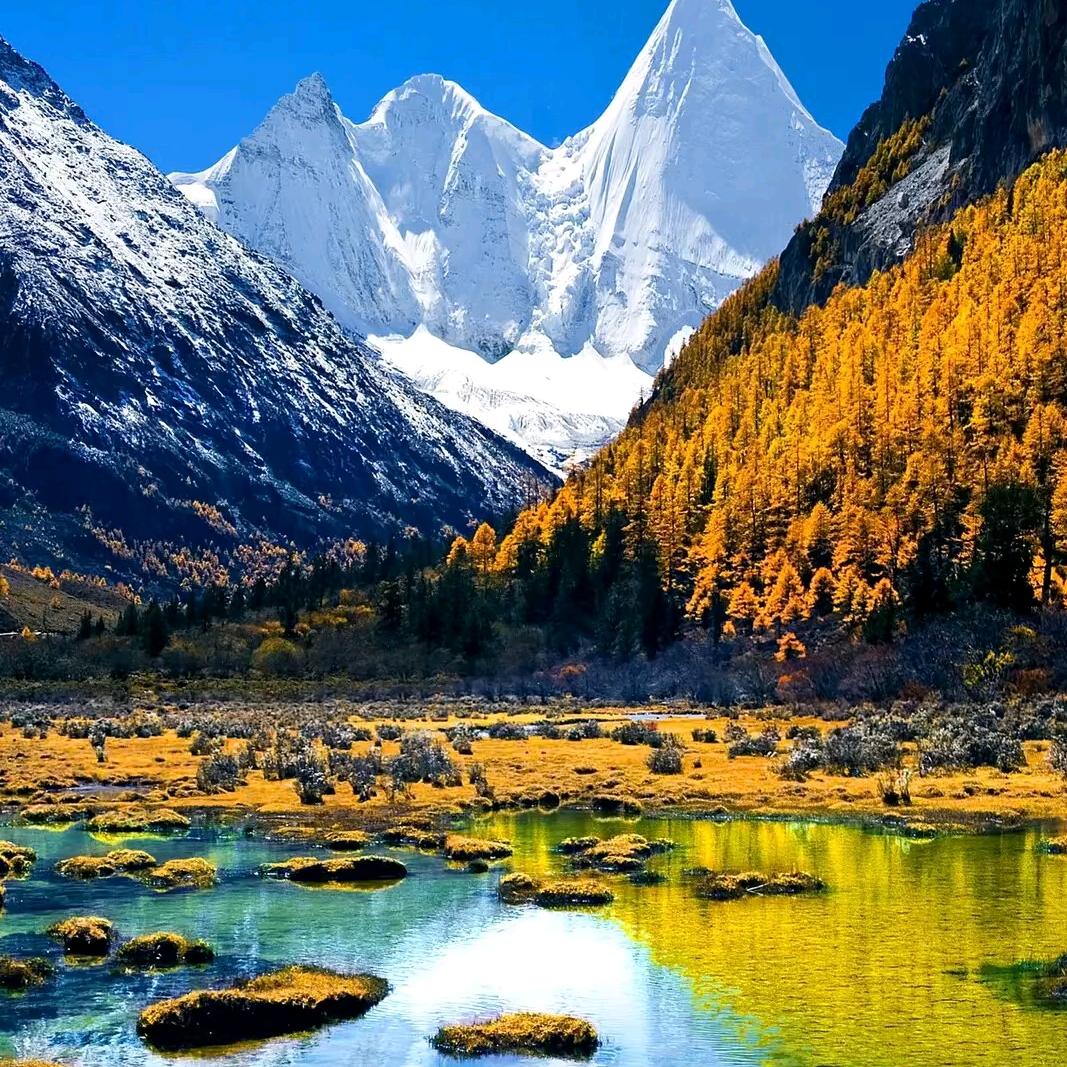 大山走出的孩子