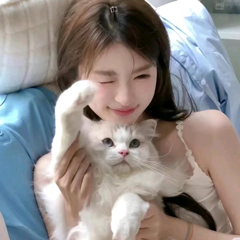 悠米萌宠（免费送🐻）