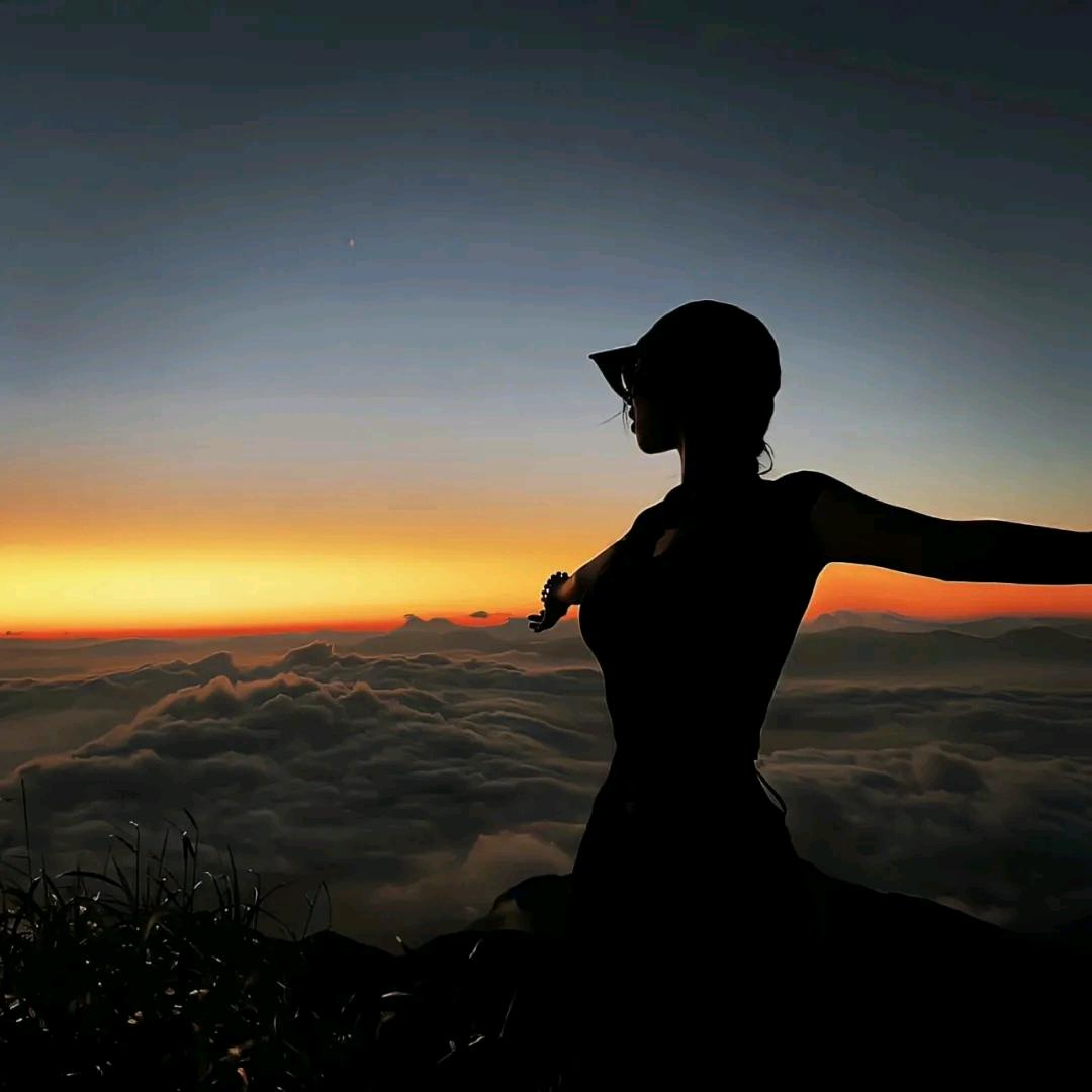 𝙆𝙞𝙩𝙩𝙮.