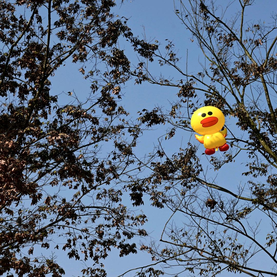 不知名的浪漫