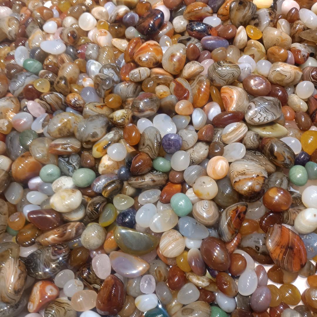 一生有你就够了