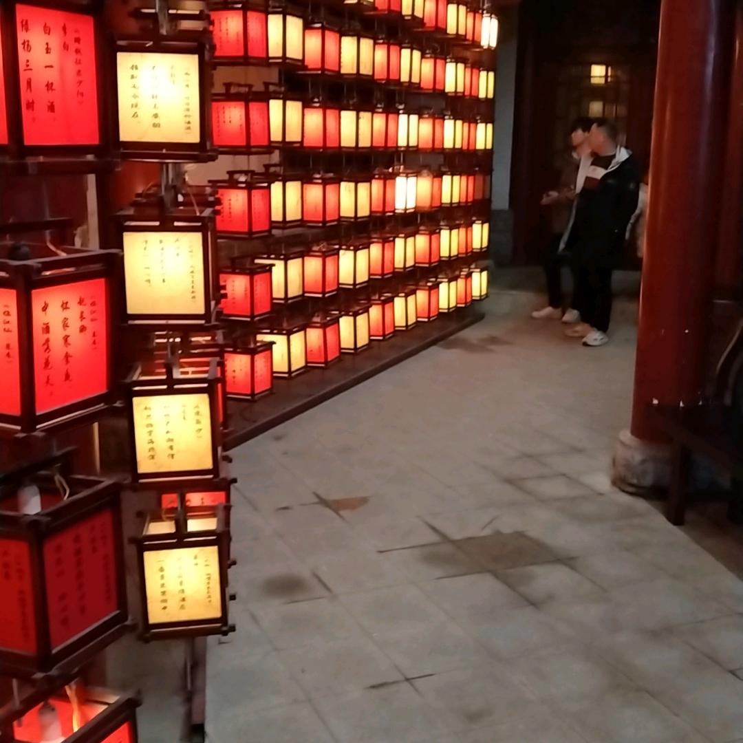 松，哥