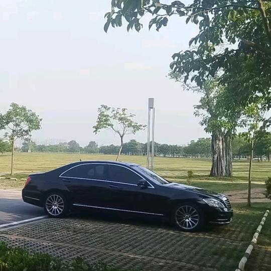 樱图（美造新材料）