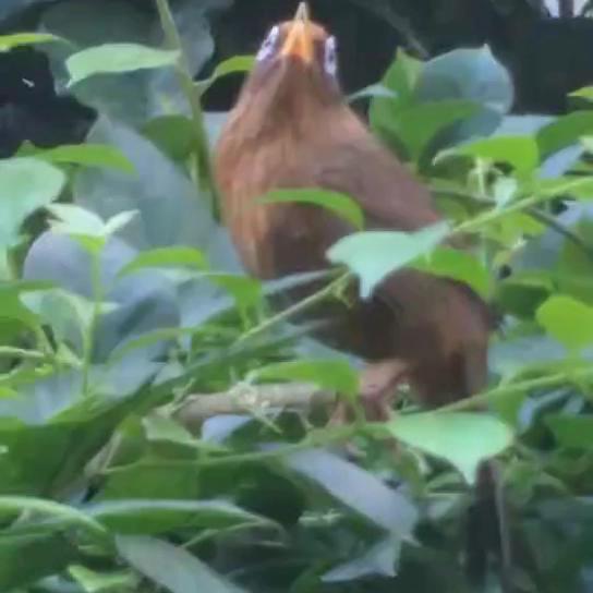 ❤️心想事成❤️