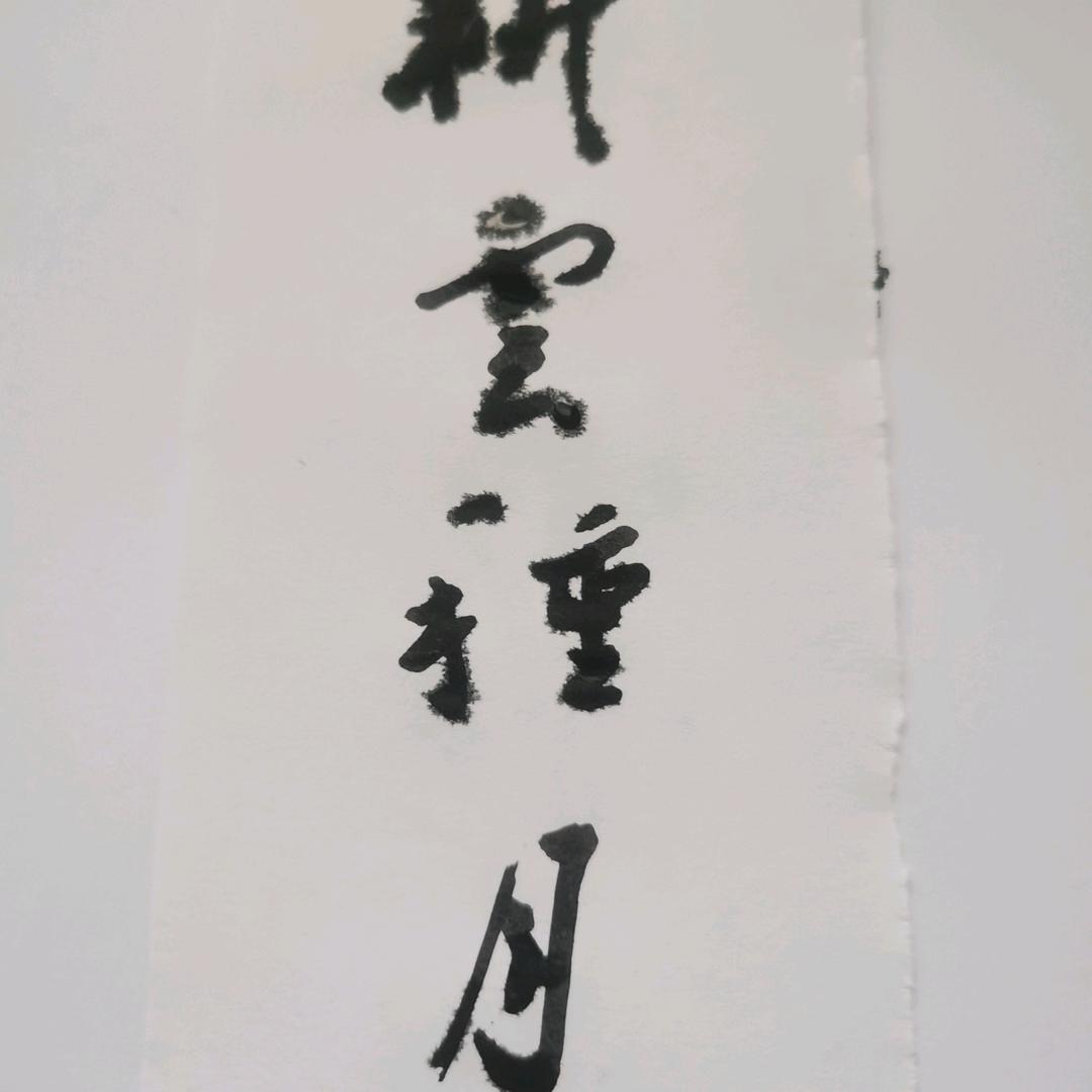 筆之舞书法