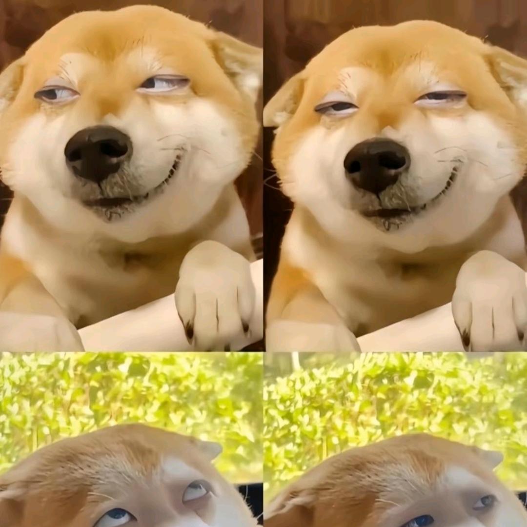 👉萨瓦🌈✨迪卡✨