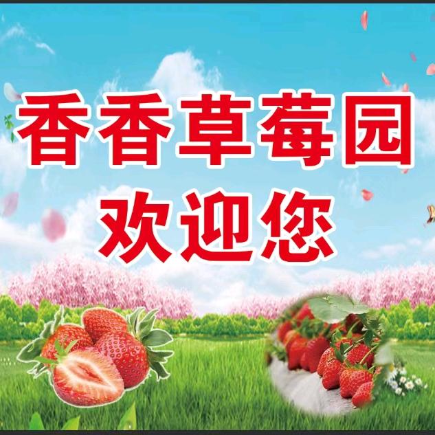 利津县香香草莓园