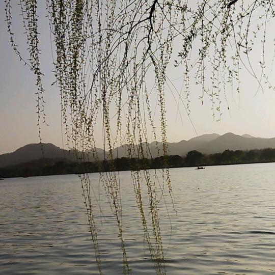 美好回忆，淡然静心