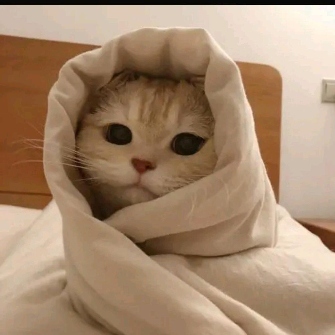 你说的都对
