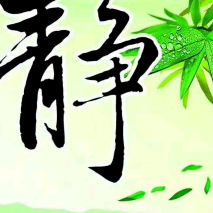 静月思韵。