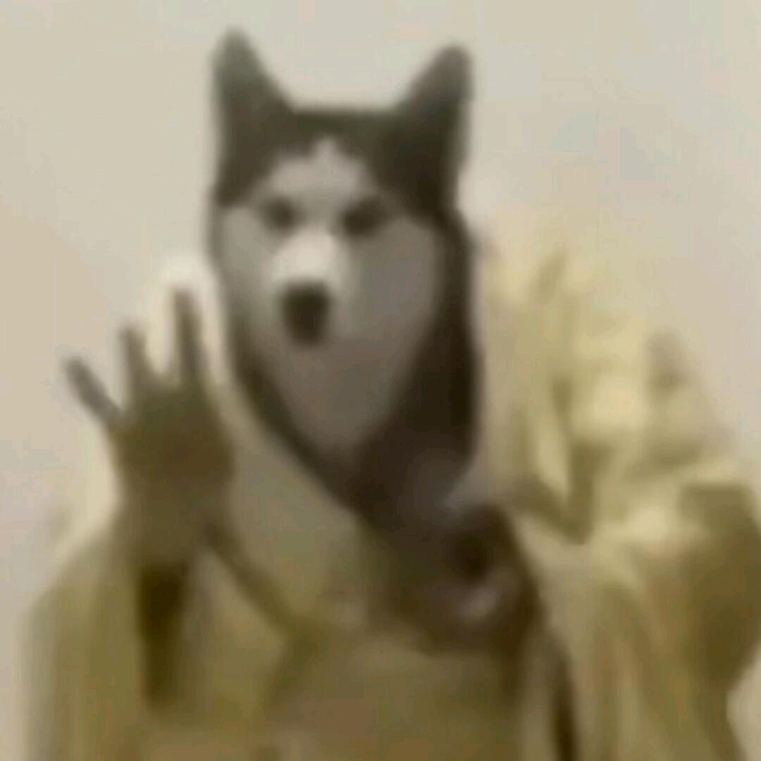知鱼巛