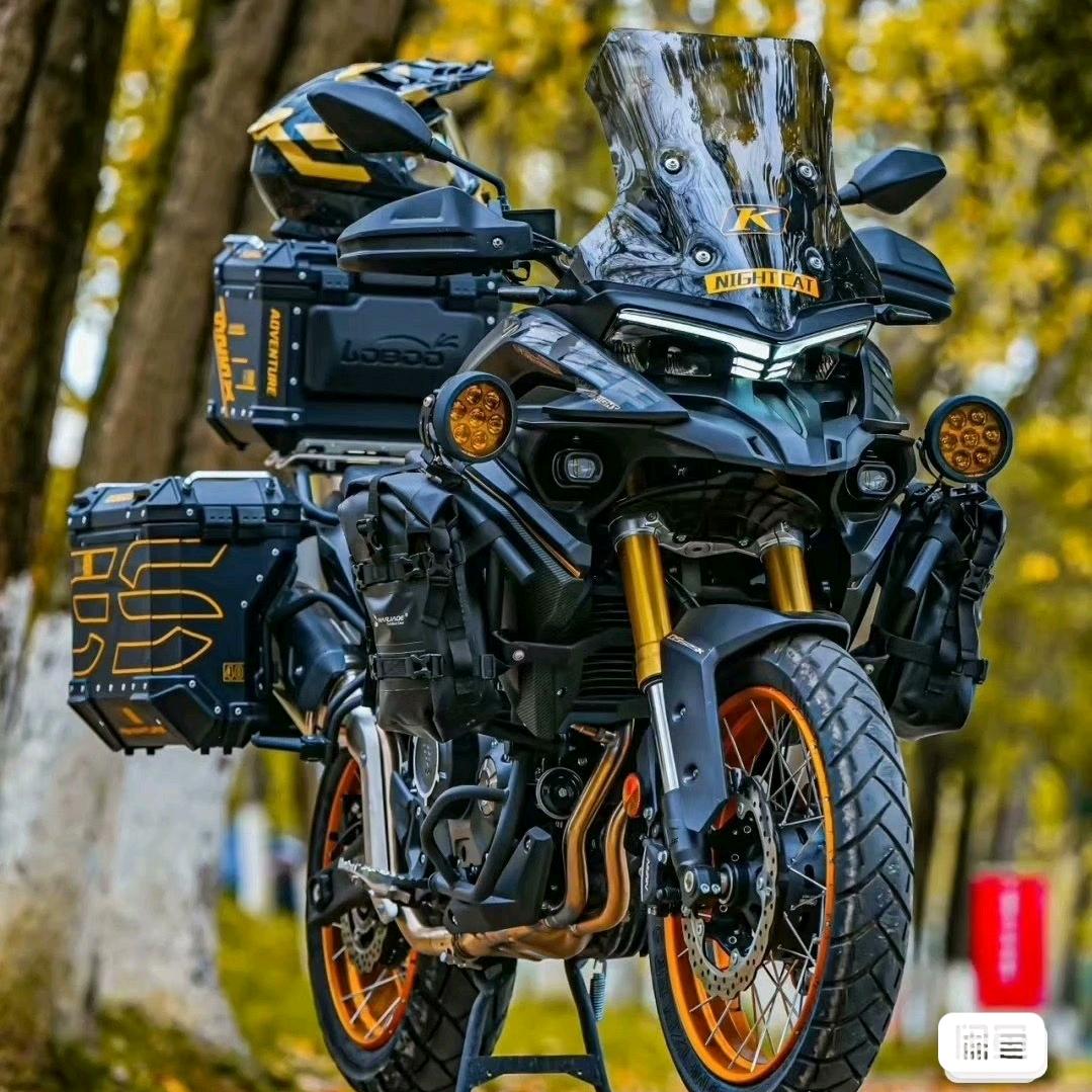 矶钓  鸿仔🎣🎣