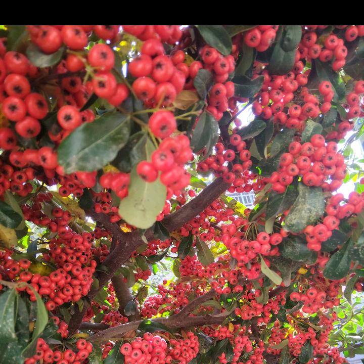 清静是最好的解压方式