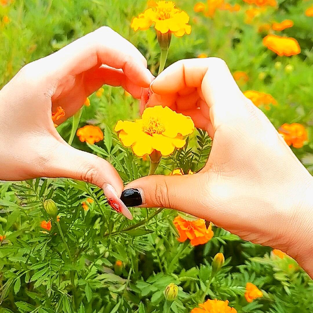艾德曼装甲门🕊💞惠ღ᭄᭄🕊💞子