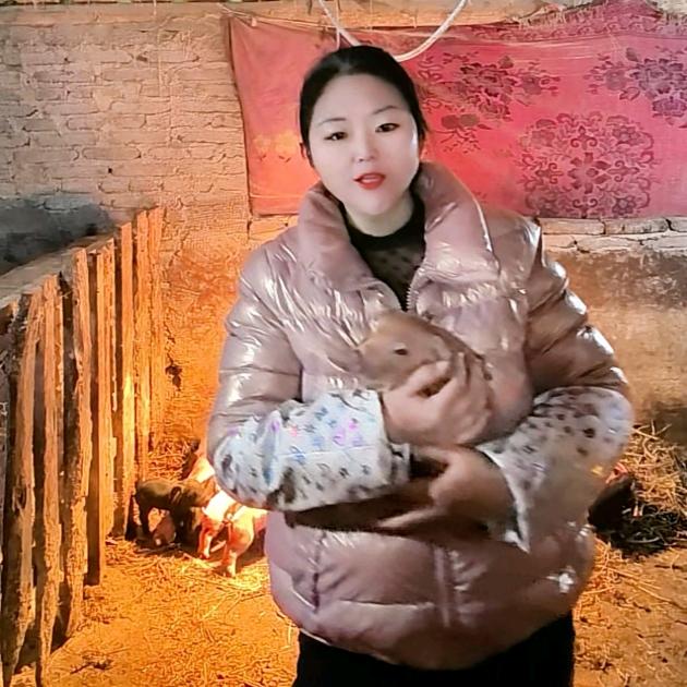 凤林农村养猪妹