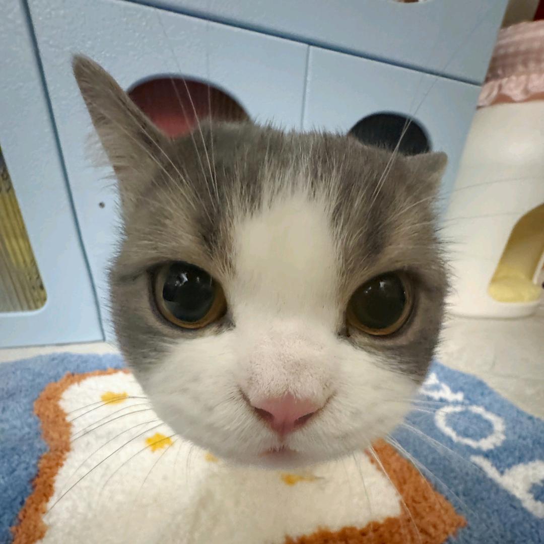 6321