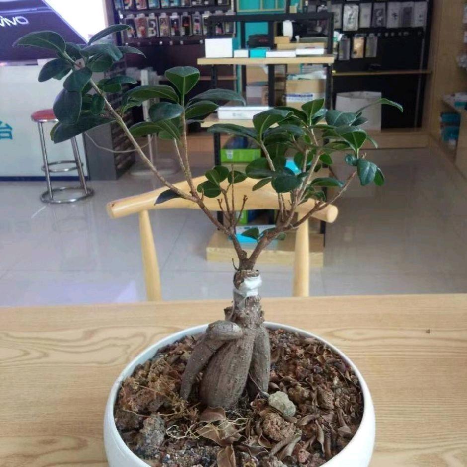 用户5962666878367
