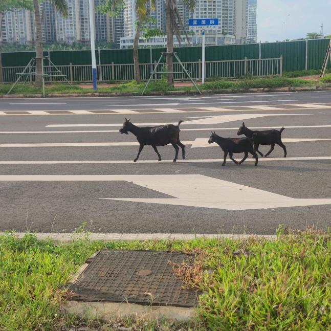 可能那就
