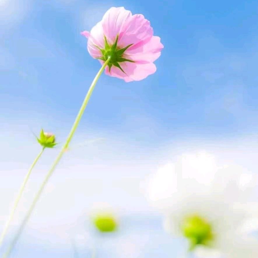 知足常乐，永远健康