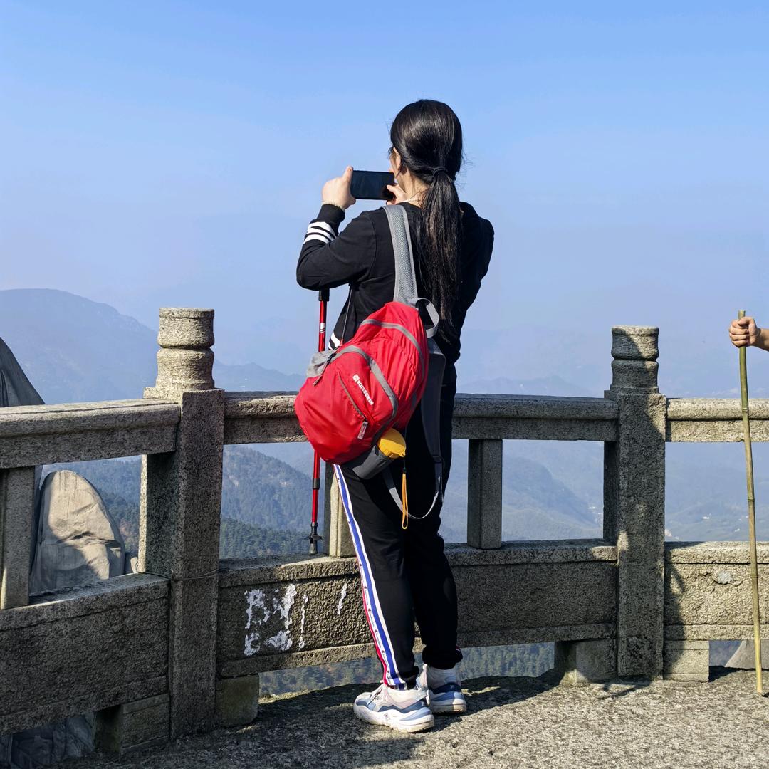 智