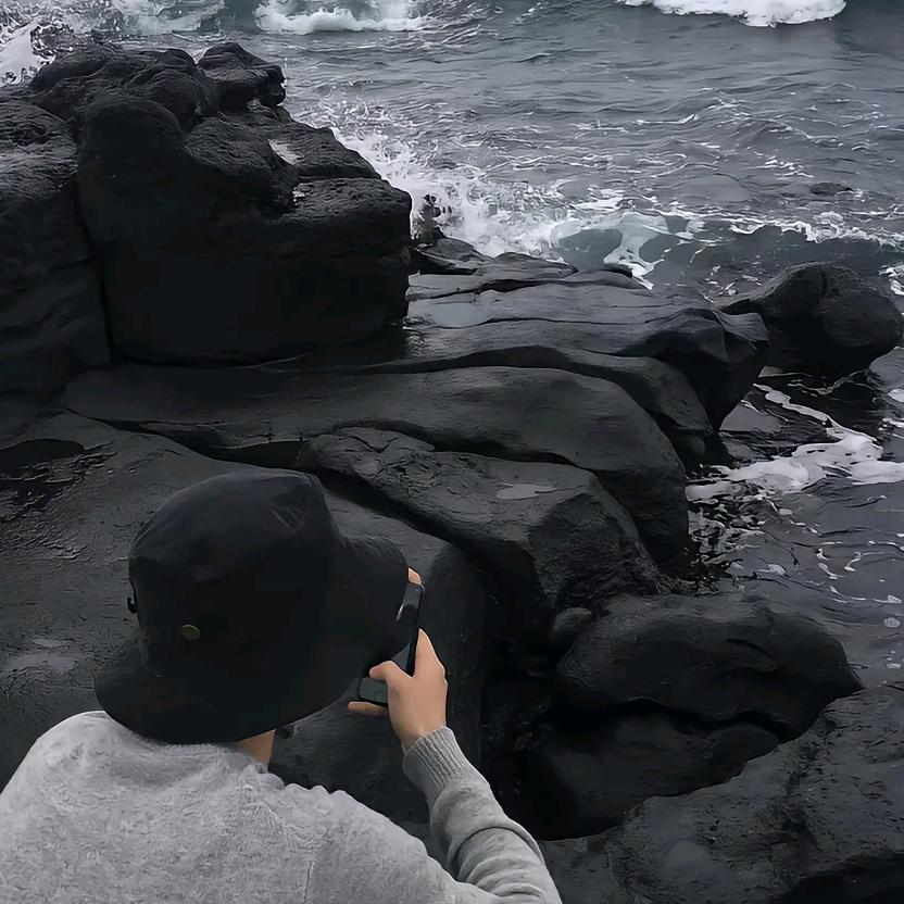 张扬的李