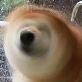 呦吼吼吼 ¹¹²²